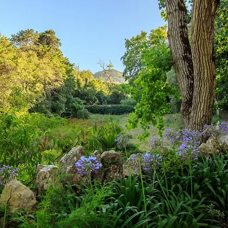 Unique Apartment Sintra