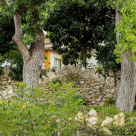 Apartment Unique Sintra