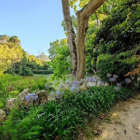 Apartment Unique Sintra